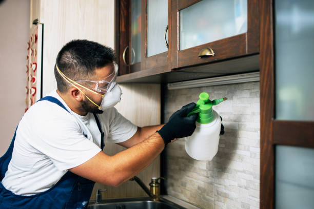 Best Cockroach Control Services  in Kiefer, OK